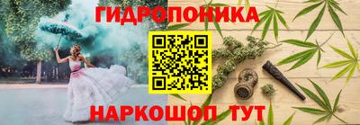 СК Краснознаменск