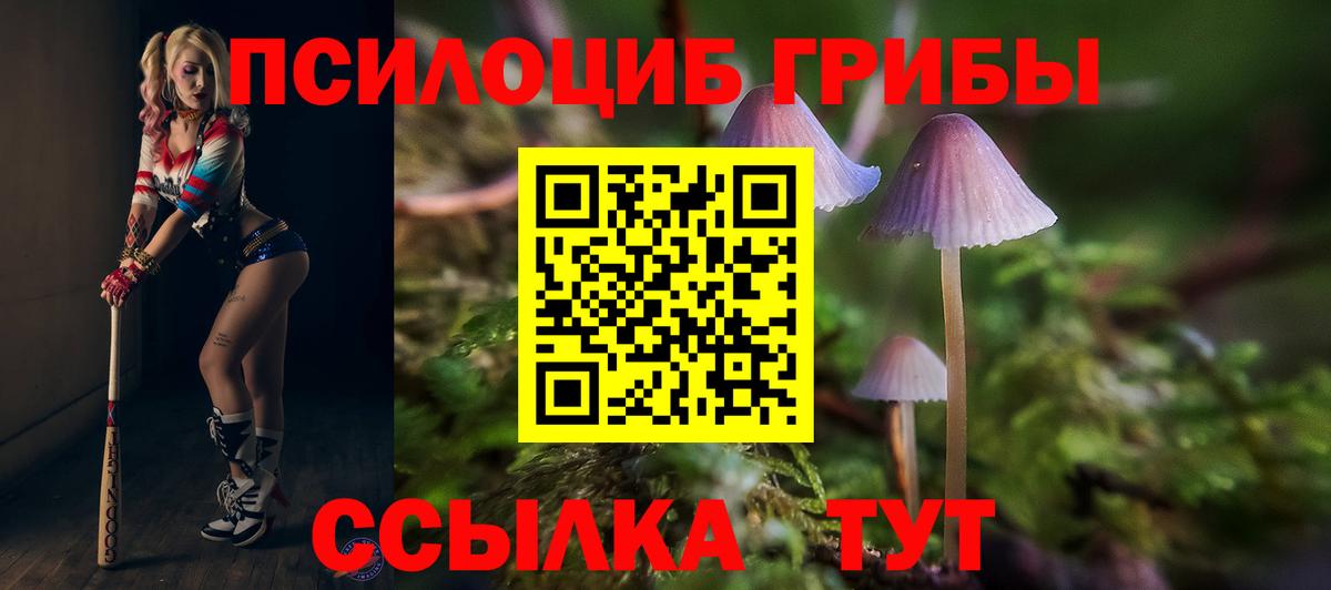 Галлюциногенные грибы ЛСД  Вход с VPN  Галлюциногенные грибы мицелий  Калуга 